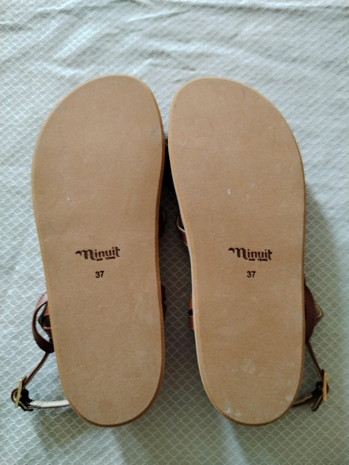Santoline camel