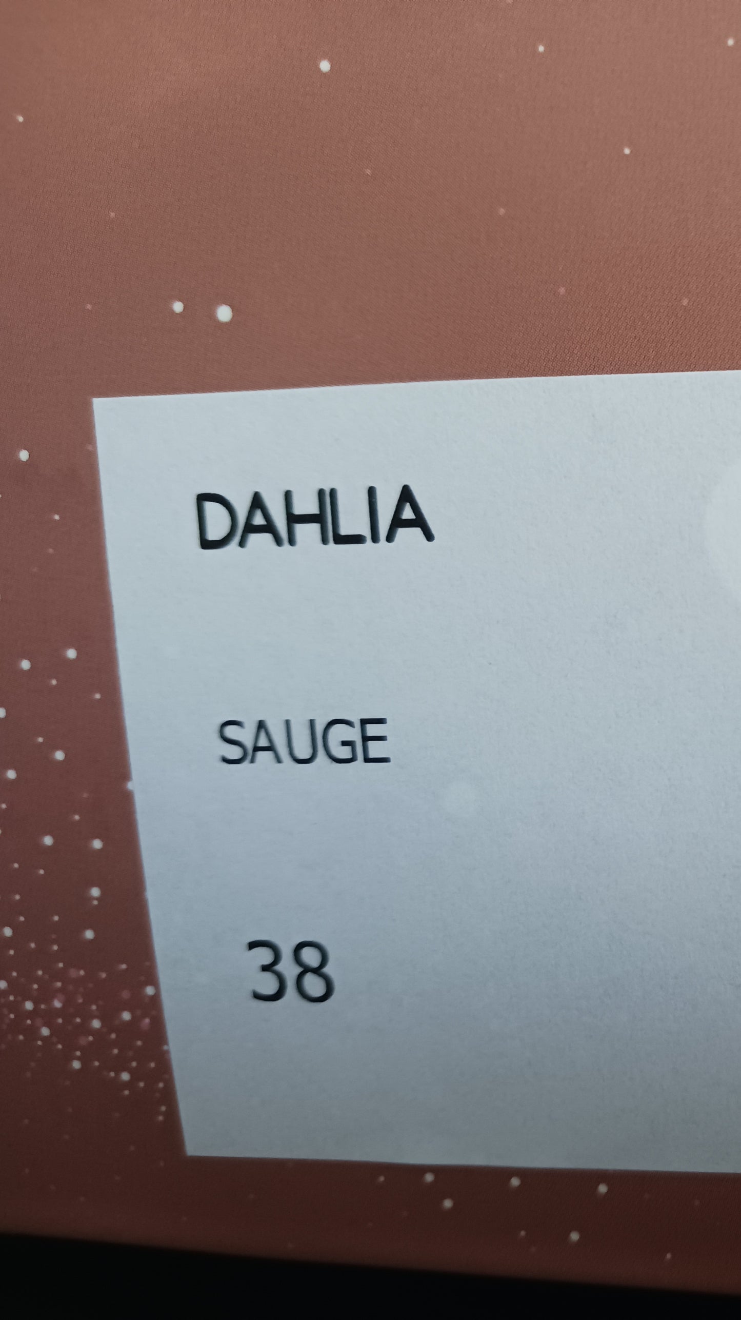 Sandales Dahlia sauge