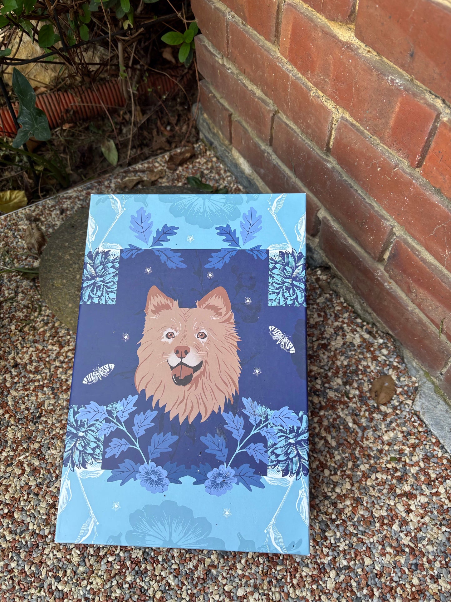 Courtoise Noir d'encre