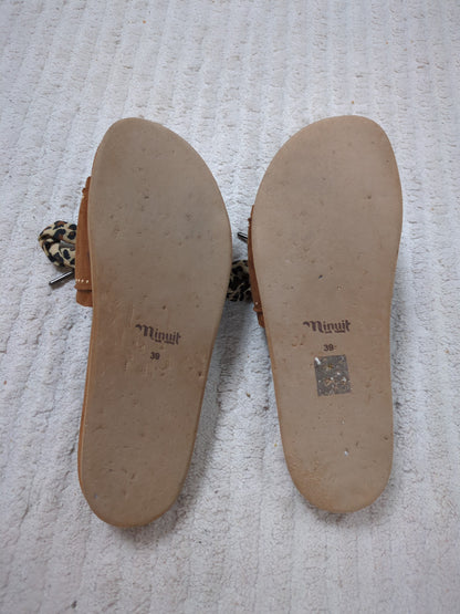 Hazelnut dune with leopard laces