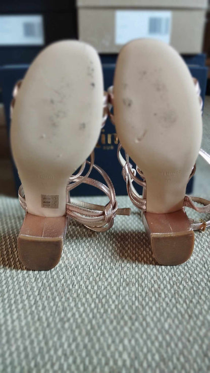 Hoya Rose Gold