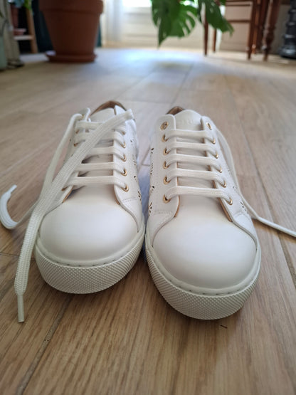 Virevolte Ginko Sauge