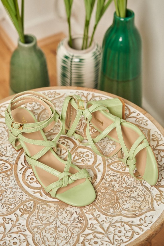 Hoya Croco Menthe