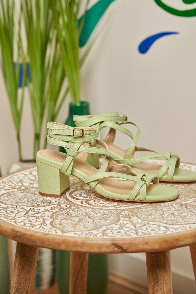 Hoya Croco Menthe