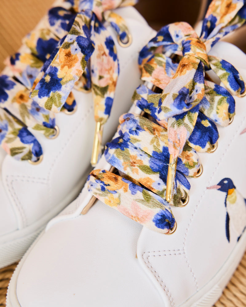 Lacets Prairie Bleu