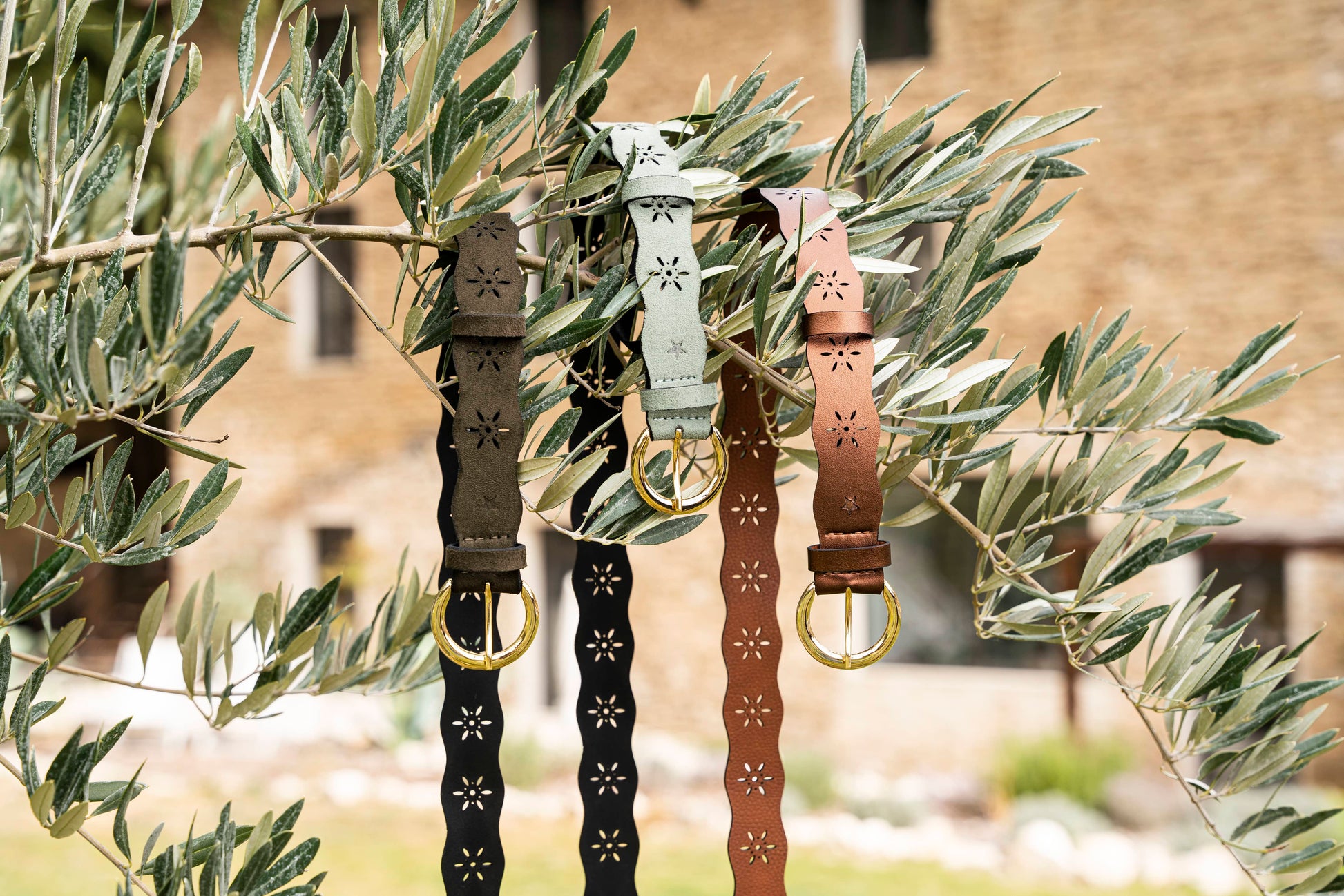 Ceintures marron pour femme vegan écoresponsables Folk Minuit sur Terre