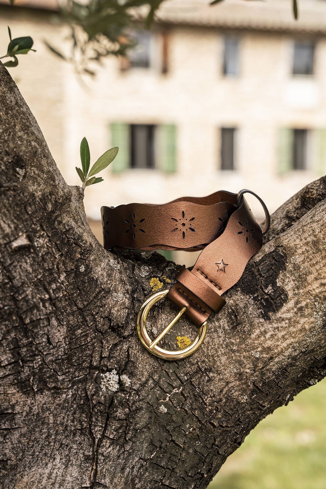 Ceinture marron foncé pour femme vegan écologique Folk Bronze Minuit sur Terre