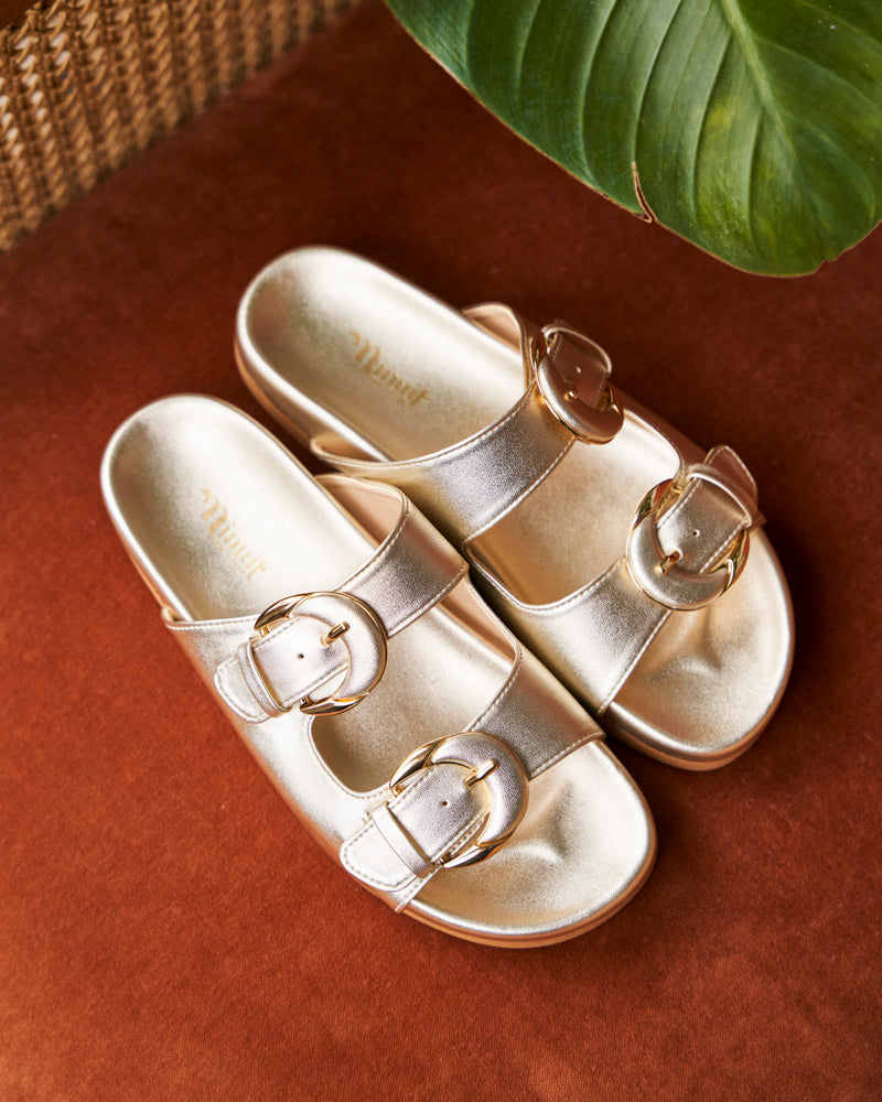 Camellia Gold