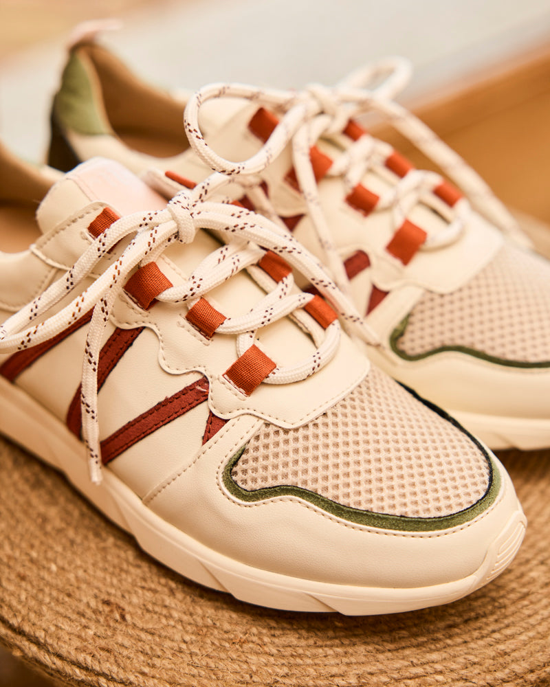 Chamois Champ Fleuri