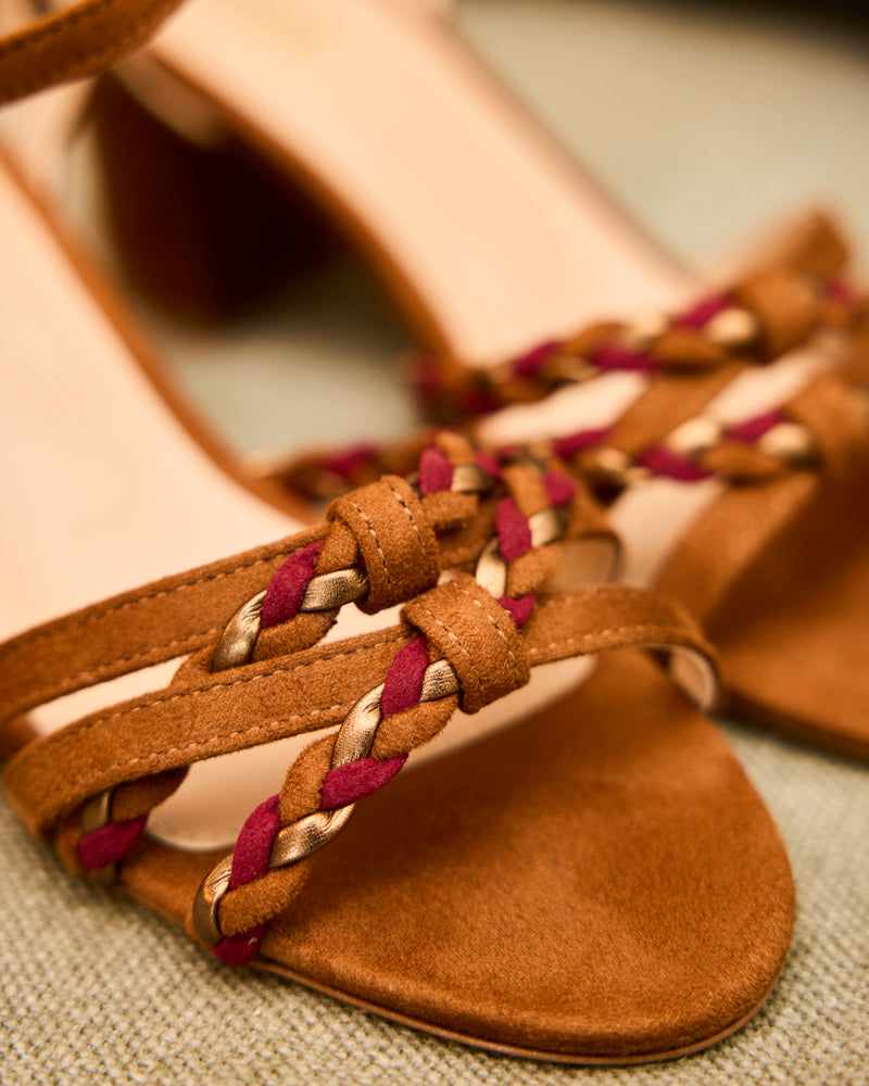 Saleccia Camel