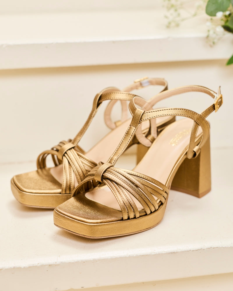 Zinnia Gold