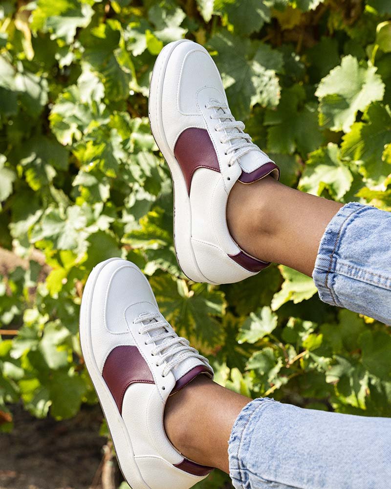 Merlot grape variety