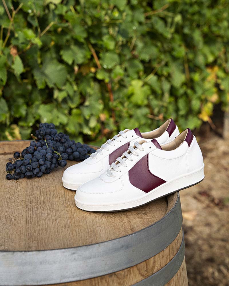 Merlot grape variety