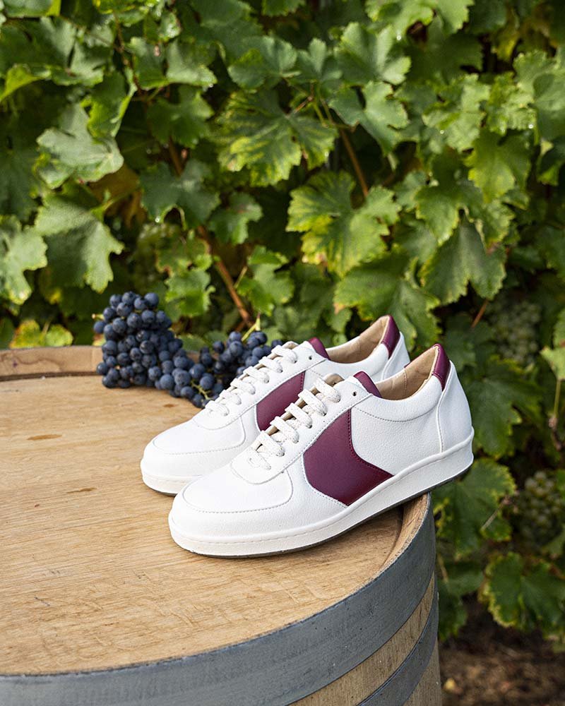 Cépage Merlot