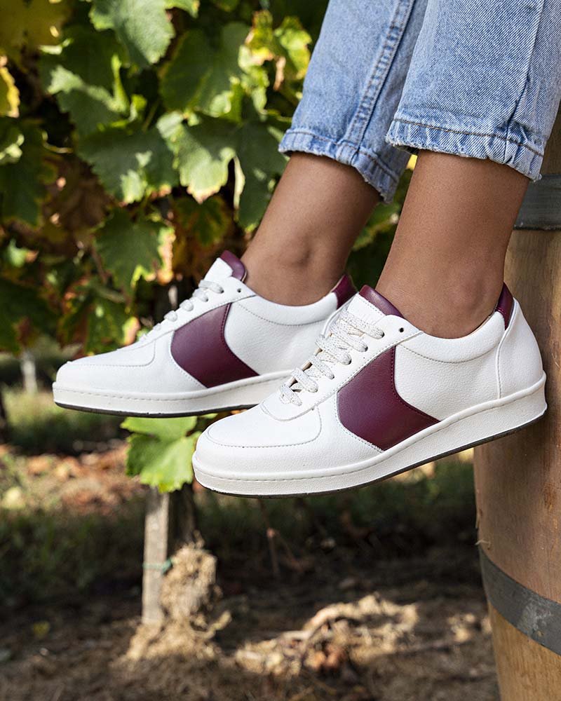 Merlot grape variety