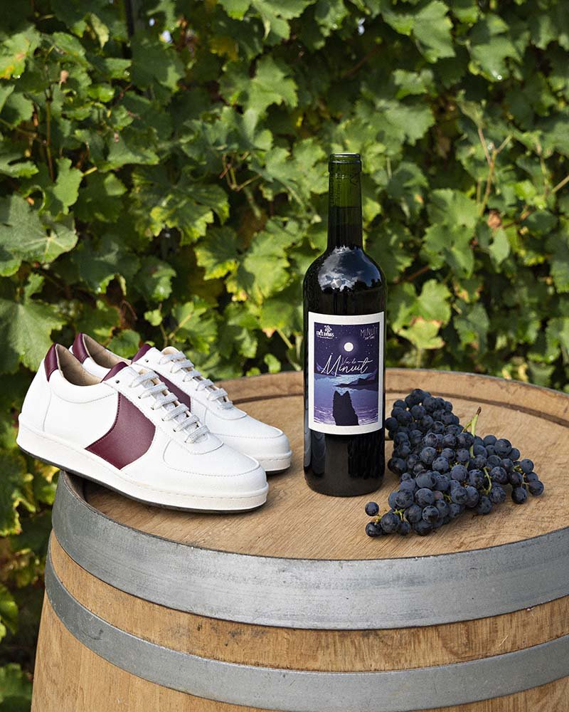 Merlot grape variety