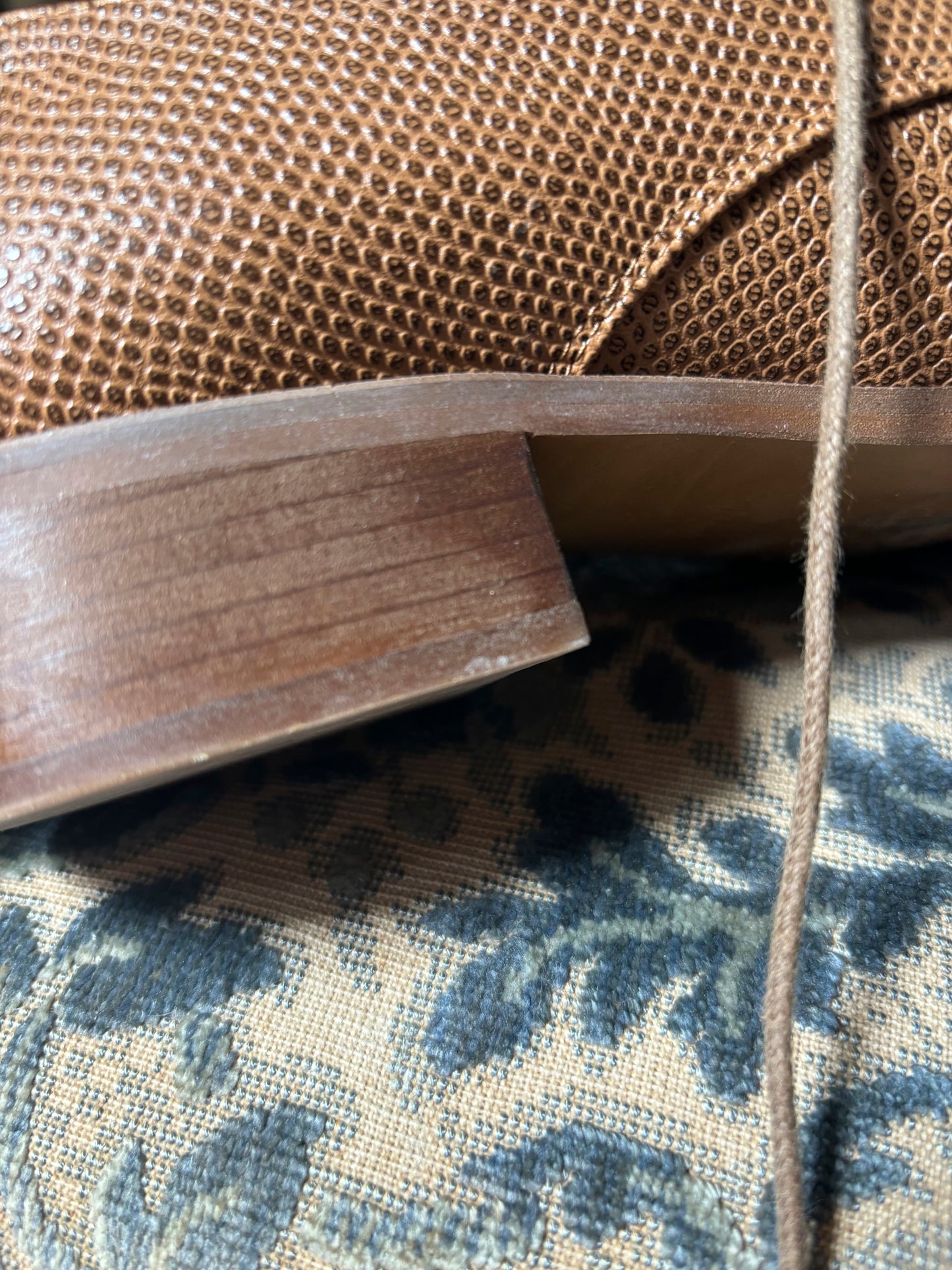 Piccadilly Camel Python