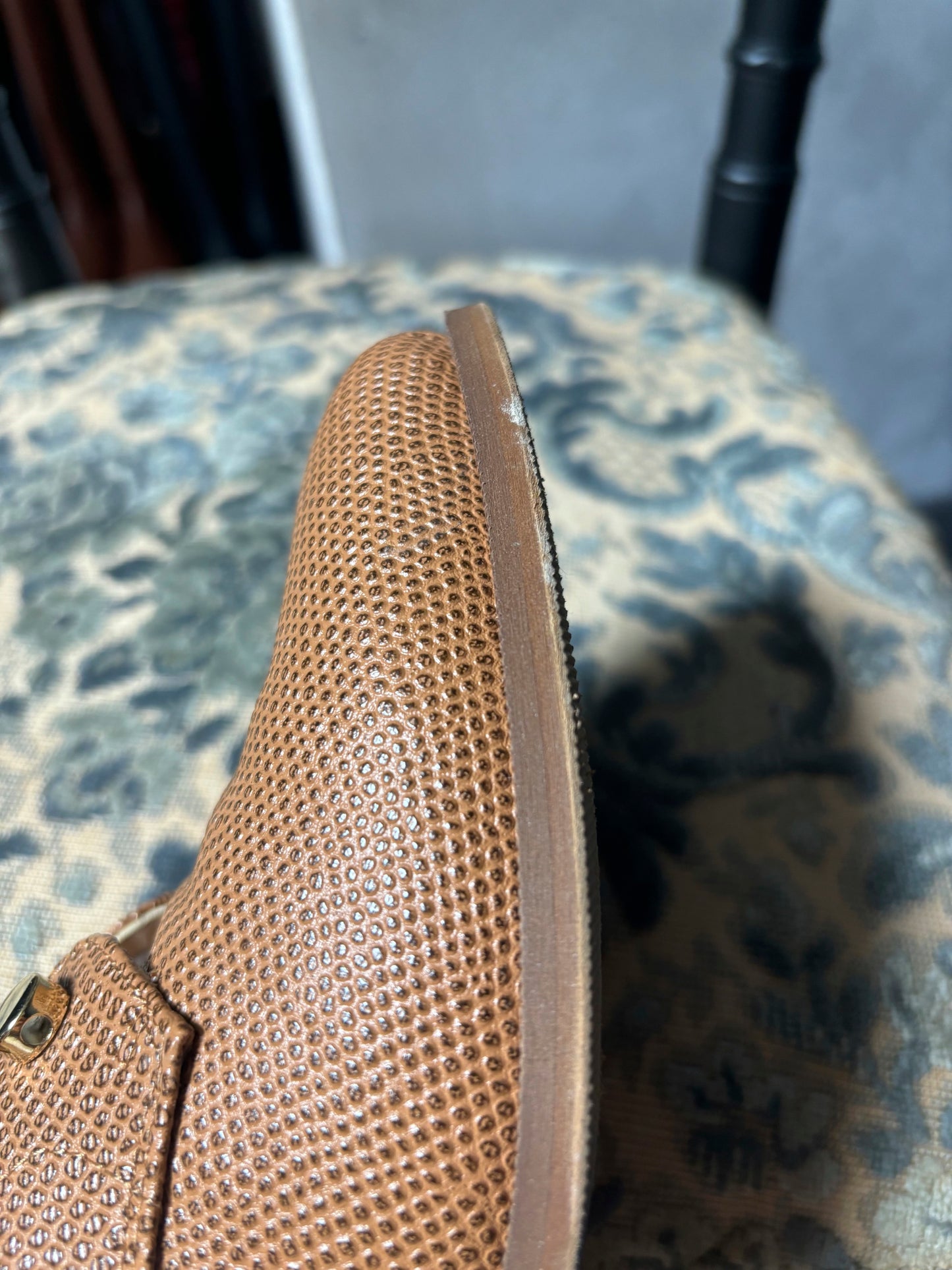 Piccadilly Camel Python