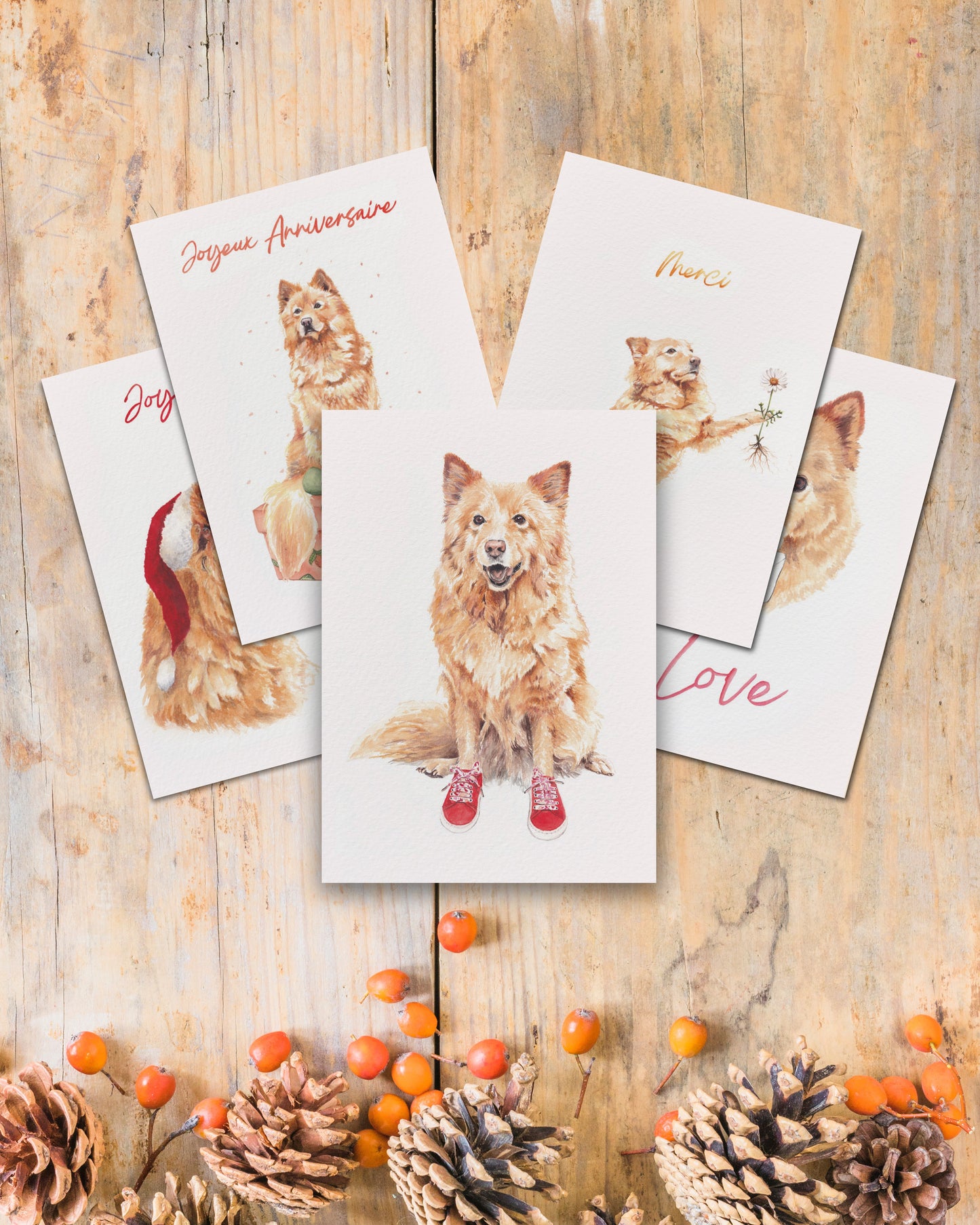 Cinnamon Cards Box Set